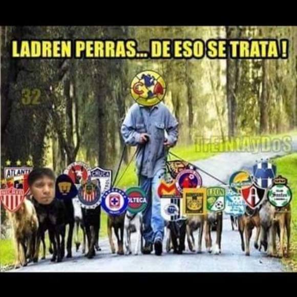 Meet your Posher, Jose - Picture 1 of 1